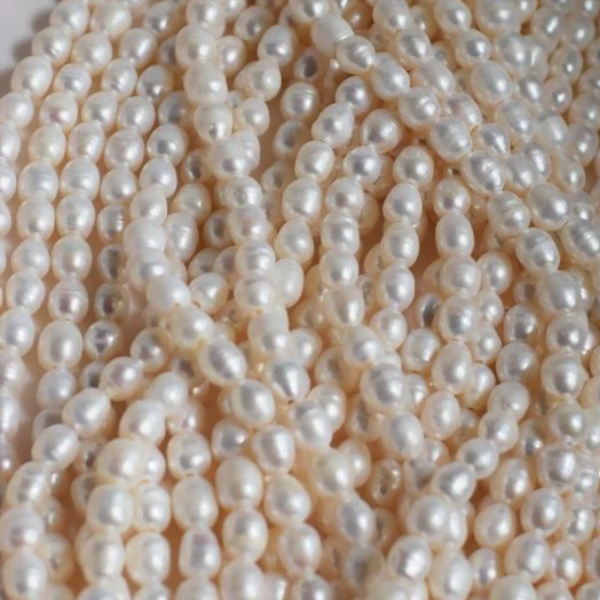 פנינים טרנד רותח או כאן כדי להישאר