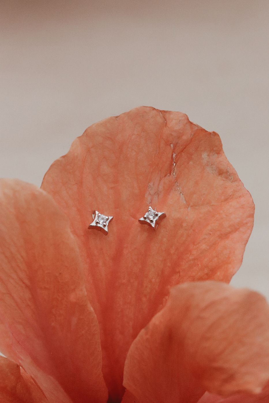 עגילי כוכב זירקון משובצים צמודים לאוזן מכסף אמיתי 925.jpg