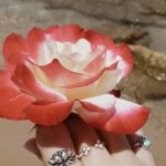 2019 12 28 12.30.20 1.jpg