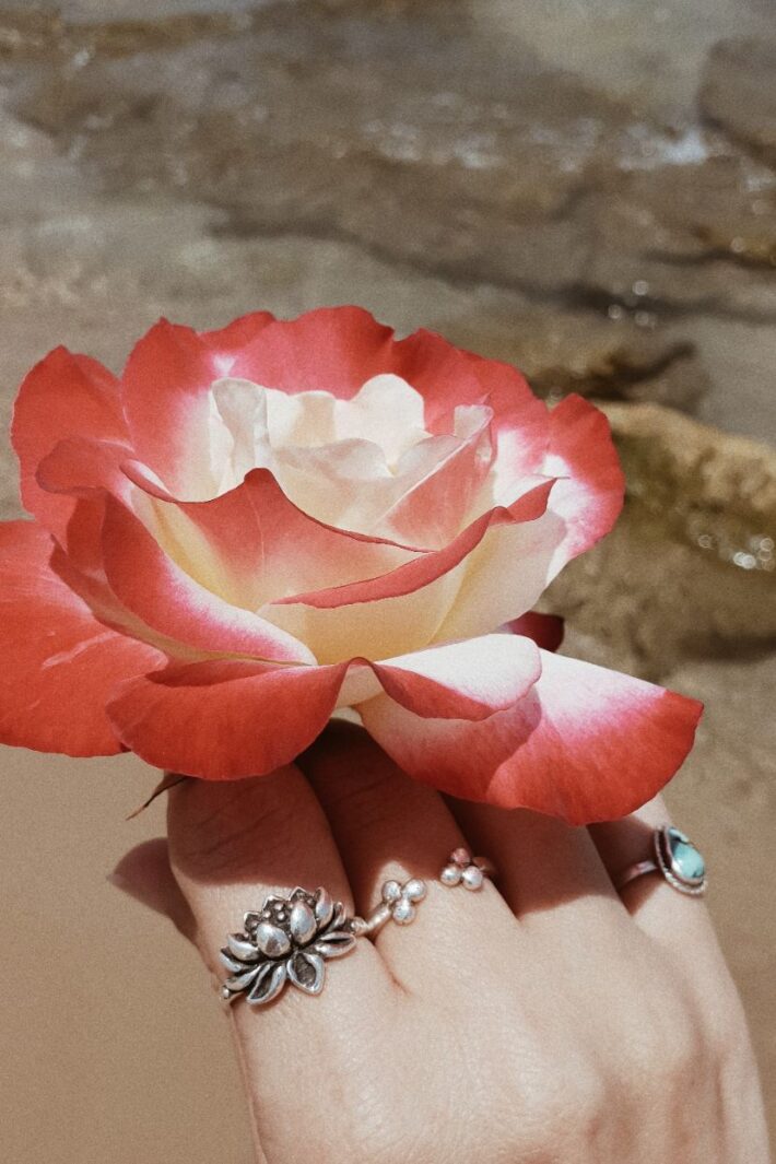 2019 12 28 12.30.20 1.jpg