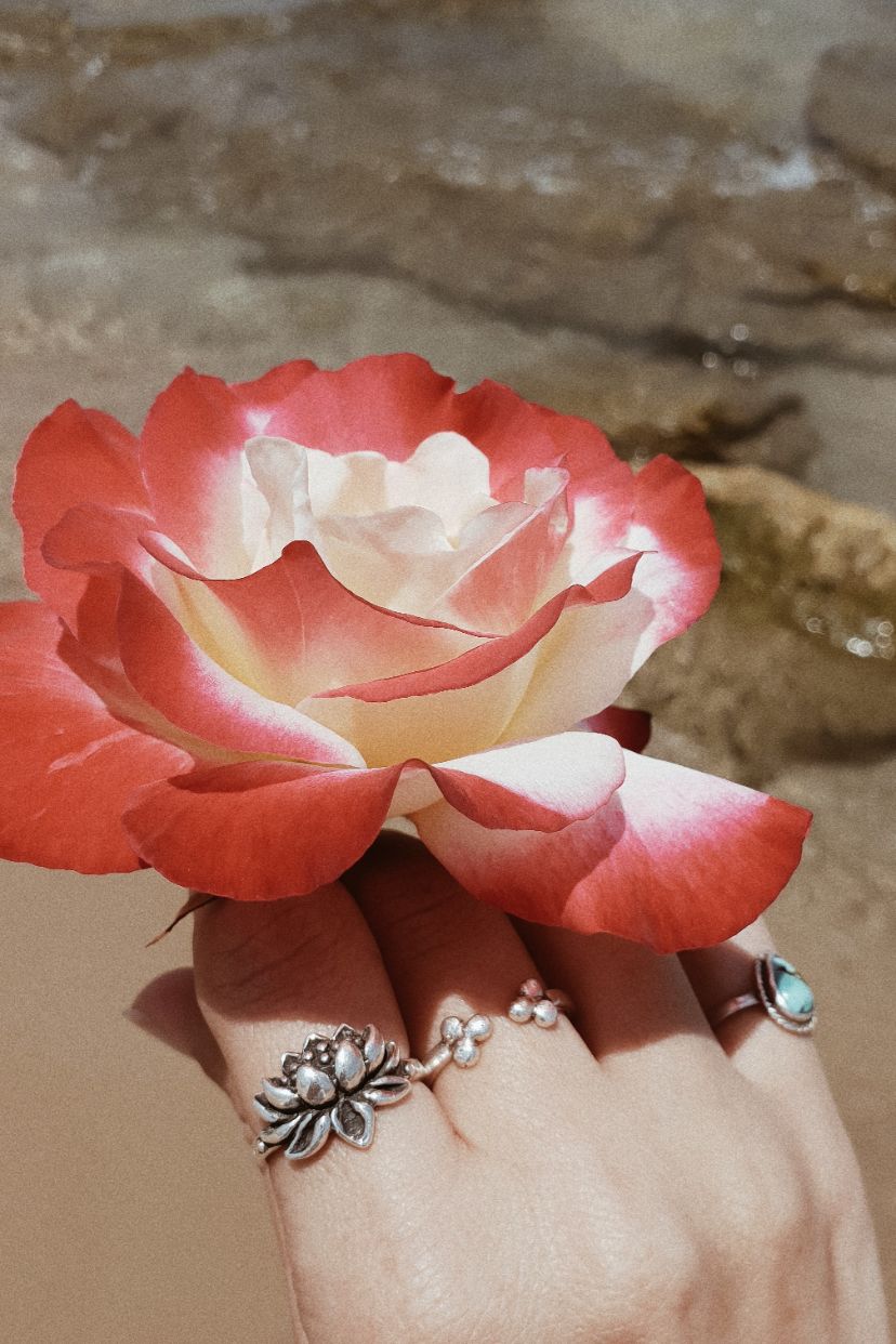 2019 12 28 12.30.20 1.jpg