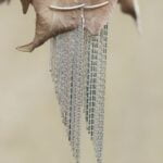 20230223180008 Img 0349 01 01.jpg