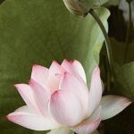 Processed With Vsco With A4 Preset