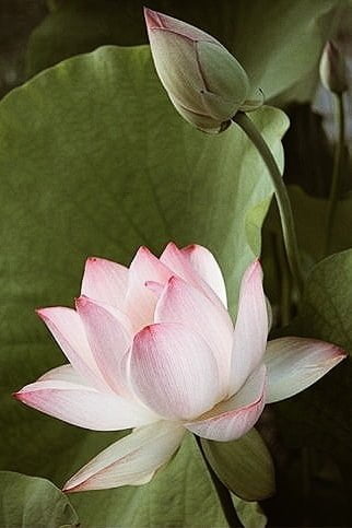 Processed With Vsco With A4 Preset