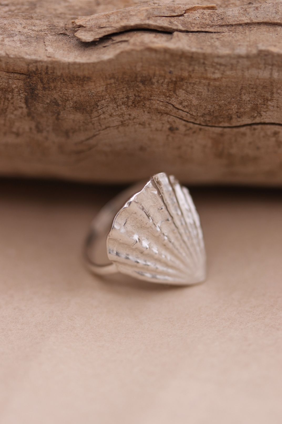 טבעת צדף קונכיה עם נוכחות מכסף טהור 925 סטרלינג סילבר 1.jpg