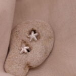 עגילי כוכב ים קטנים צמודים לאוזן מכסף טהור 925.jpg