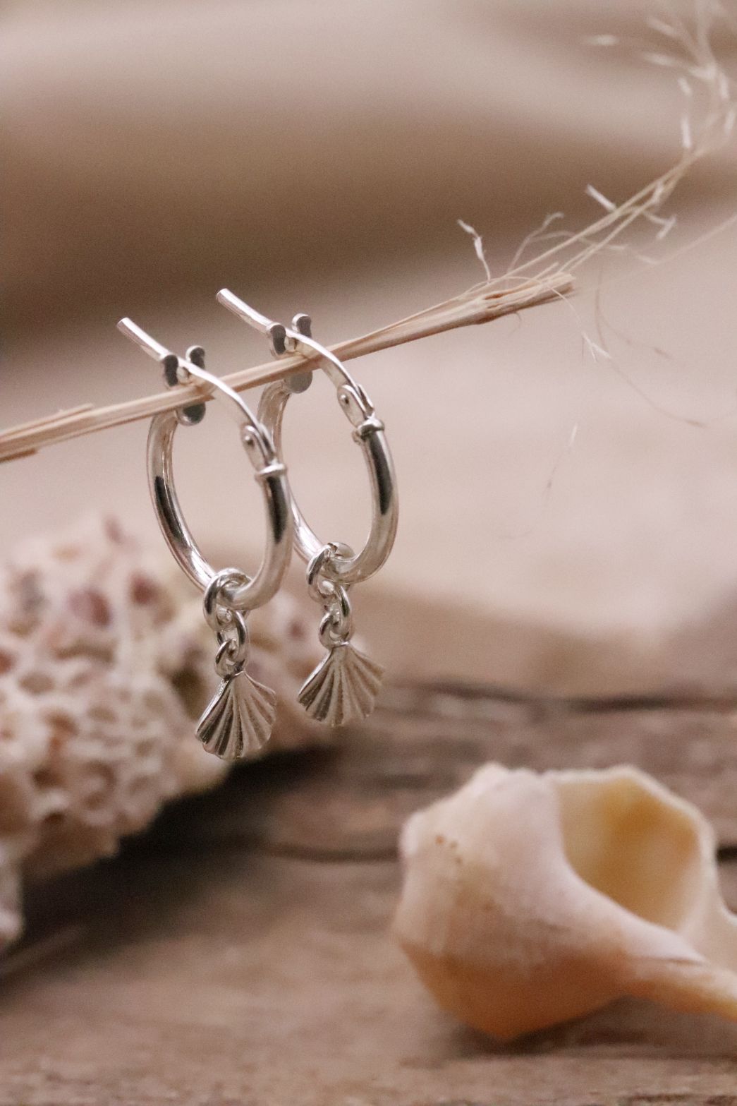 עגילי חישוק קטנים מכסף בשילוב צדפים קטנים מכסף 925 (1)