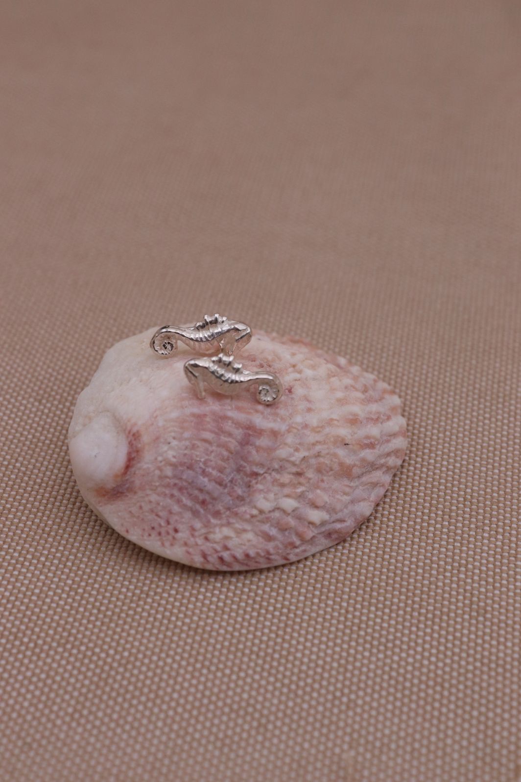 עגילי סוסון ים קטנים צמודים לאוזן מכסף 925